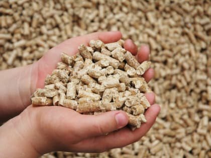 Тверская область: ввозили корма, вывозили мясные продукты