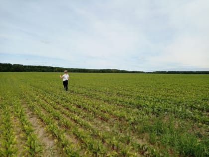 Более 2000 платных исследований проведено Костромским отделом в июле