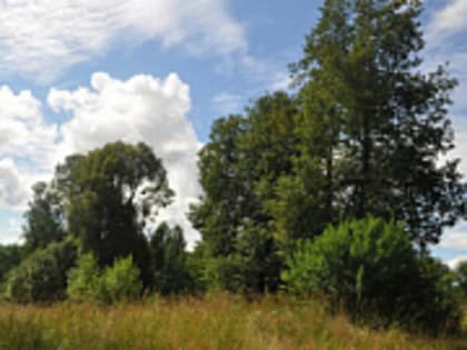 Тверская Федерация каратэ получила почти миллион на реализацию своего проекта