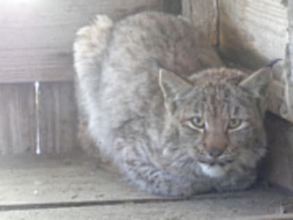 Народные приметы на 26 февраля: как правильно проводить зиму и стать счастливым