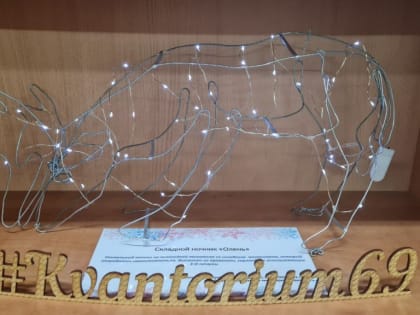 В Твери работают выставки работ юных изобретателей