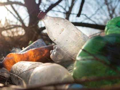 В  Удомельском городском округе на пастбище обнаружена свалка