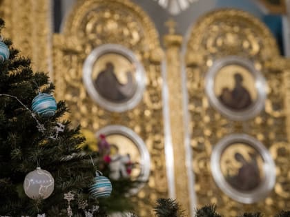 Митрополит Амвросий в Рождество проведет богослужения в Воскресенском соборе
