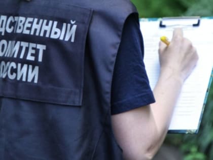 Проводится проверка по факту незаконного лишения свободы несовершеннолетних