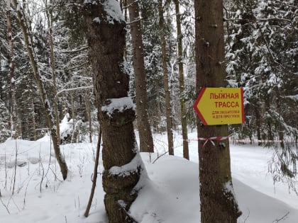 В Тверской области началась Декада спорта и здоровья