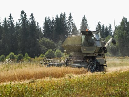 В Тверской области стартовала уборочная кампания