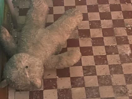 Дом во Ржеве после взрыва газа будет восстановлен в кратчайшие сроки — глава округа