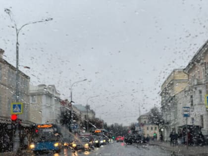 Аномально теплая зима в Тверской области – стоит ли нам ждать заморозки?