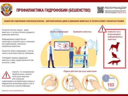 Роспотребнадзор рассказал, что делать, если вас укусило бешеное животное