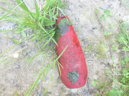 Под Ржевом обезвредили минометную мину калибром 82 мм