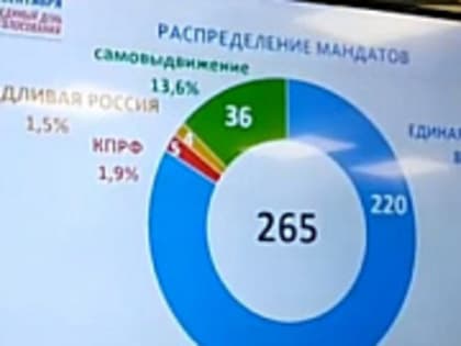 Евгения Пичуева переизбрали председателем Тверской городской Думы