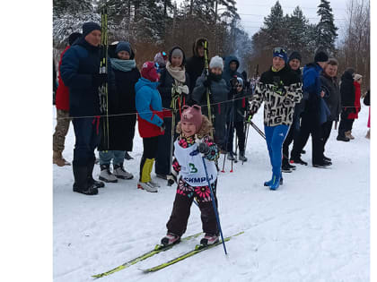 Кимрские спортивные события: с 18 по 29 января