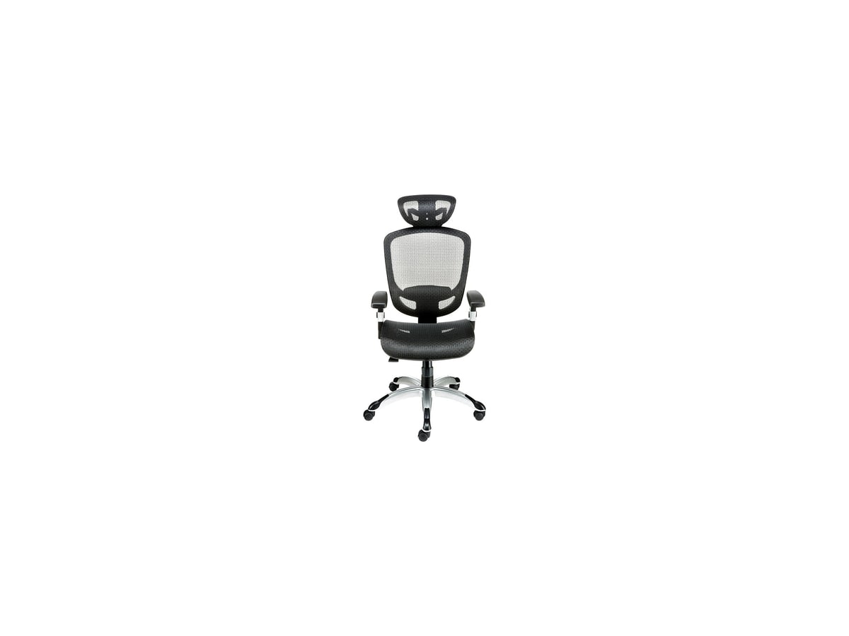 Flexfit Hyken Mesh Task Chair
