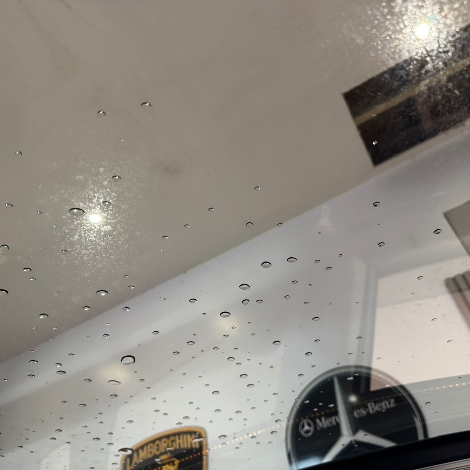 fa142ec7-9a01-40f3-8f0e-e5676d6b399d.jpg
