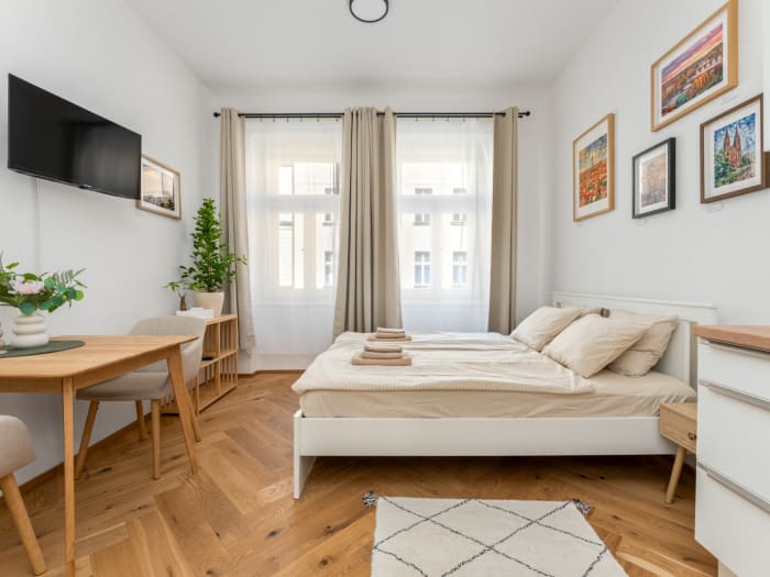 Bright studio, Seifertova 44 — managed unit