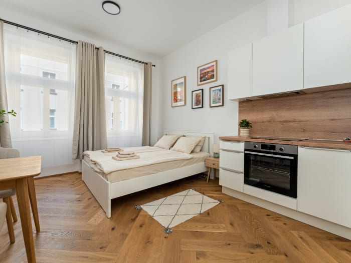 Studio with herringbone parquet, Seifertova 44 — managed unit