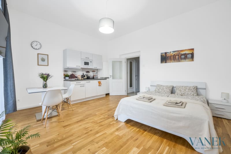 Furnished studio apartment on Petrská, Prague 1