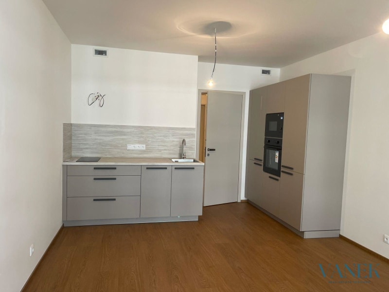 Interior of the new-build studio on Poděbradská, Prague 9