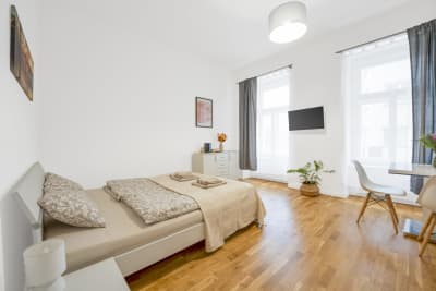 Apartment 1+kk, 30.3m², Petrská, Prague 1 - New Town — photo 4