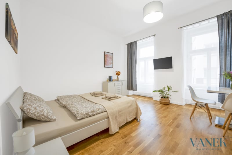 Apartment 1+kk, 30.3m², Petrská, Prague 1 - New Town — photo 4