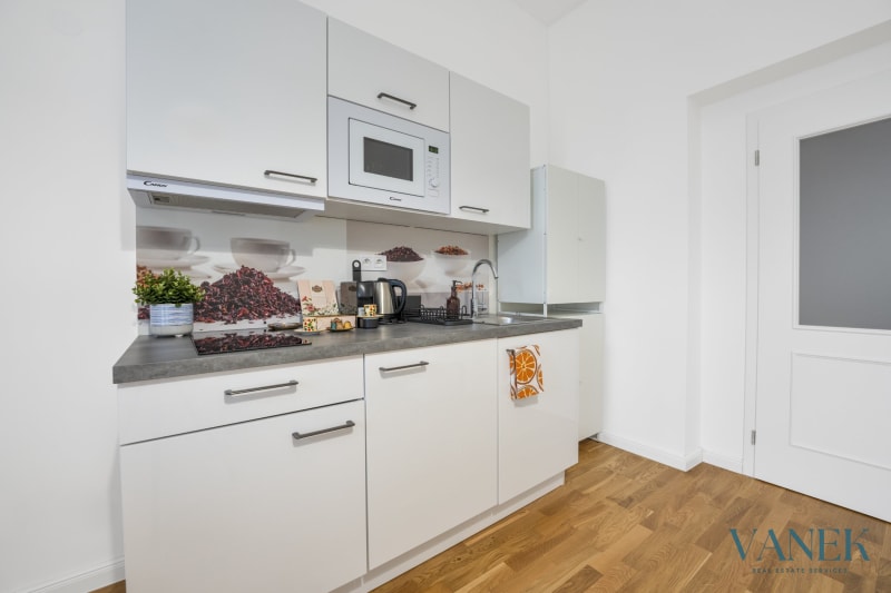 Apartment 1+kk, 30.3m², Petrská, Prague 1 - New Town — photo 2