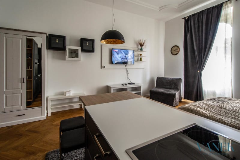 Apartment 1+kk, 40m², U Rajské Zahrady, Prague 3 - Žižkov — photo 3