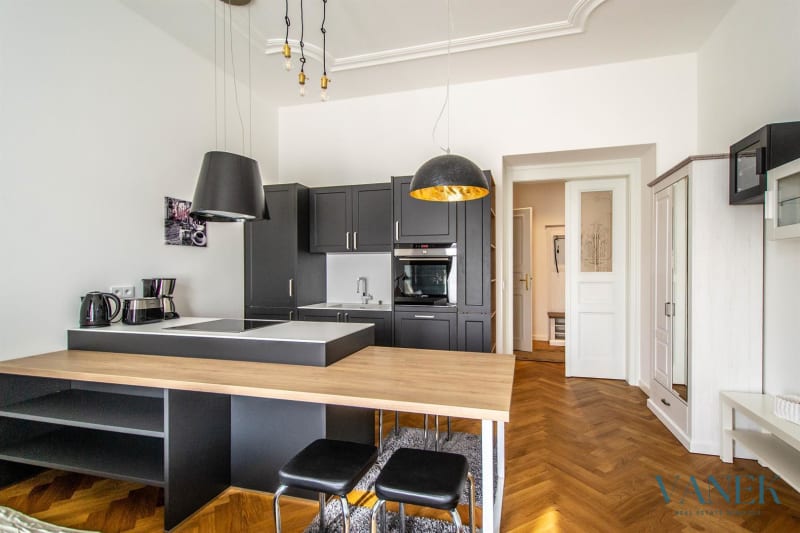 Apartment 1+kk, 40m², U Rajské Zahrady, Prague 3 - Žižkov — photo 2