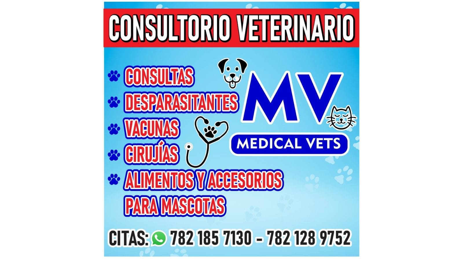 Consultorio veterinario MV medical vets