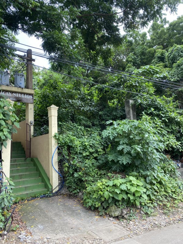 Lot/Land For Sale In Diniwid