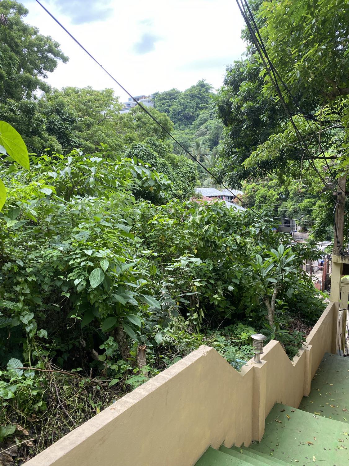 Lot for Sale in Boracay – 316 sqm Land on Diniwid Road