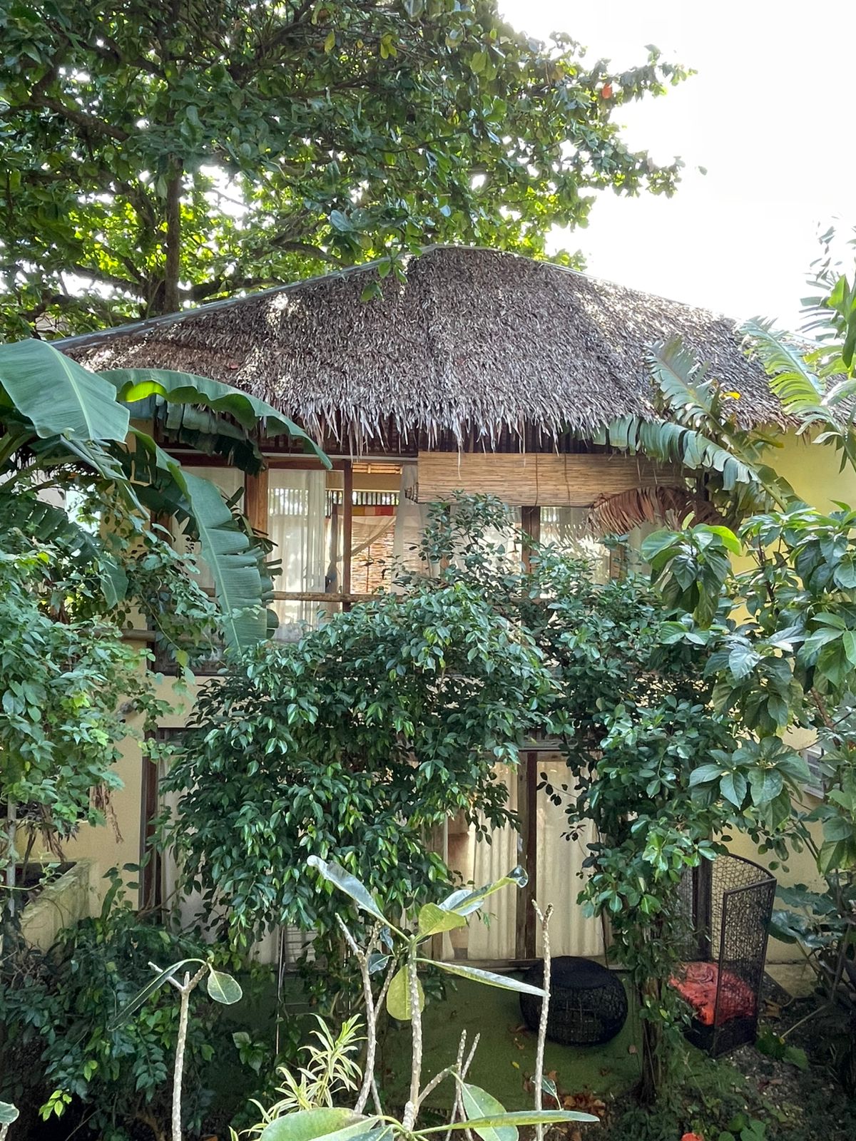 Puka + Tigbao - 2 Studios