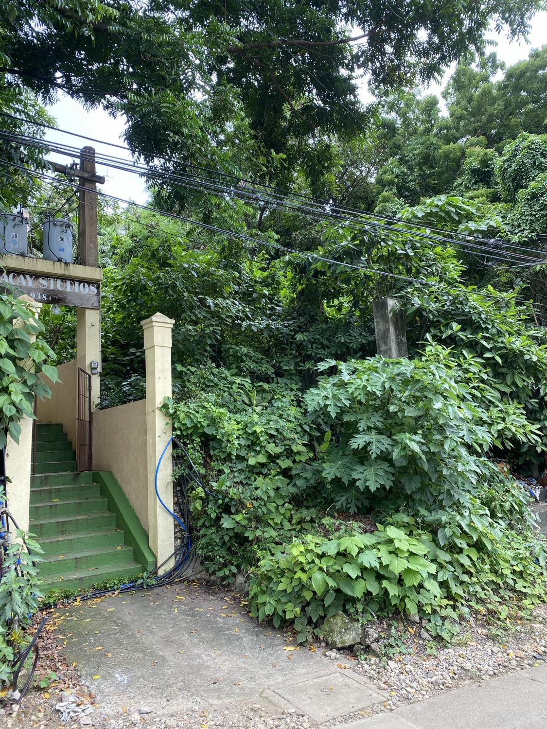 Lot/Land For Sale In Diniwid