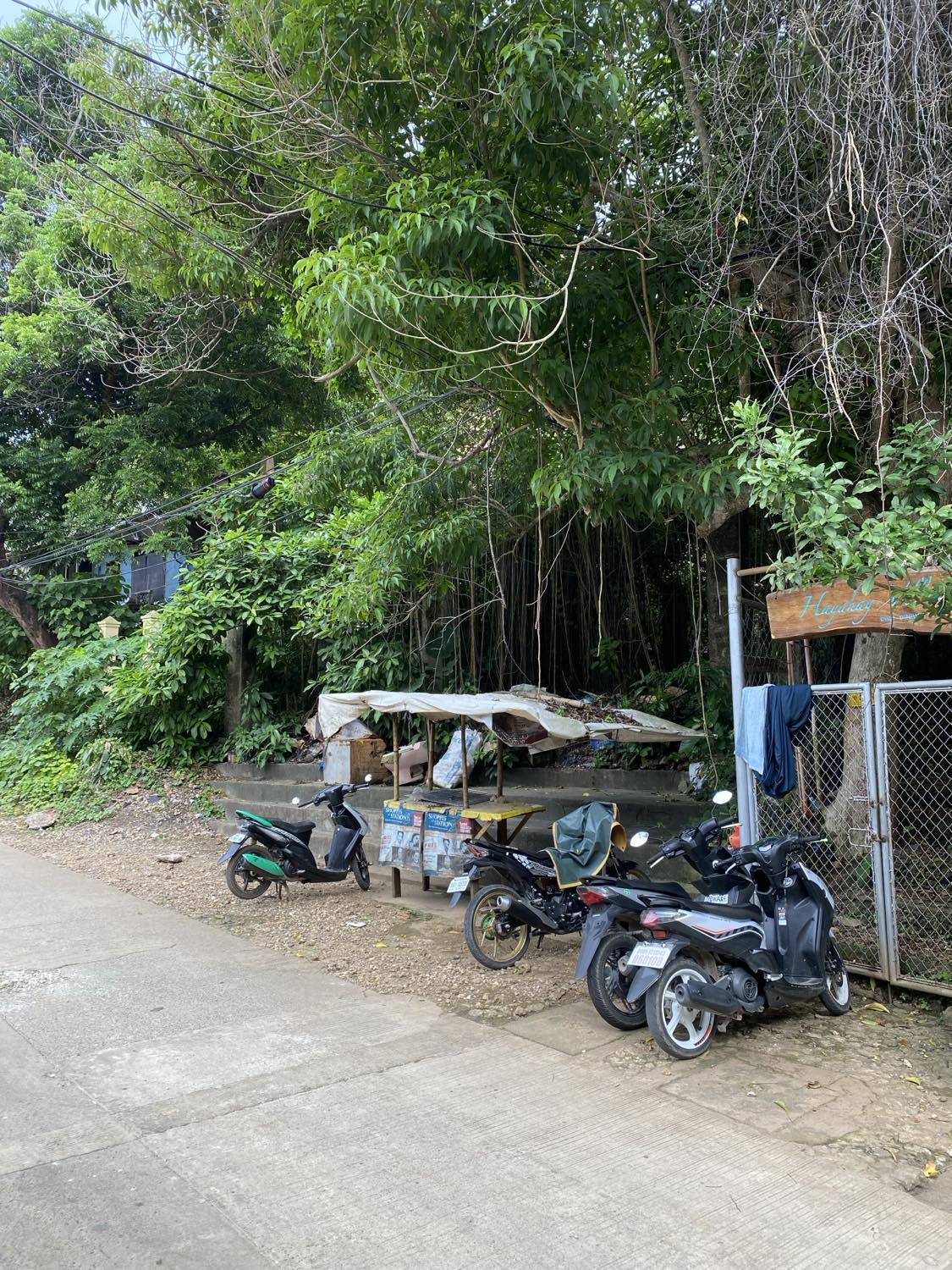 Lot/Land For Sale In Diniwid image 2