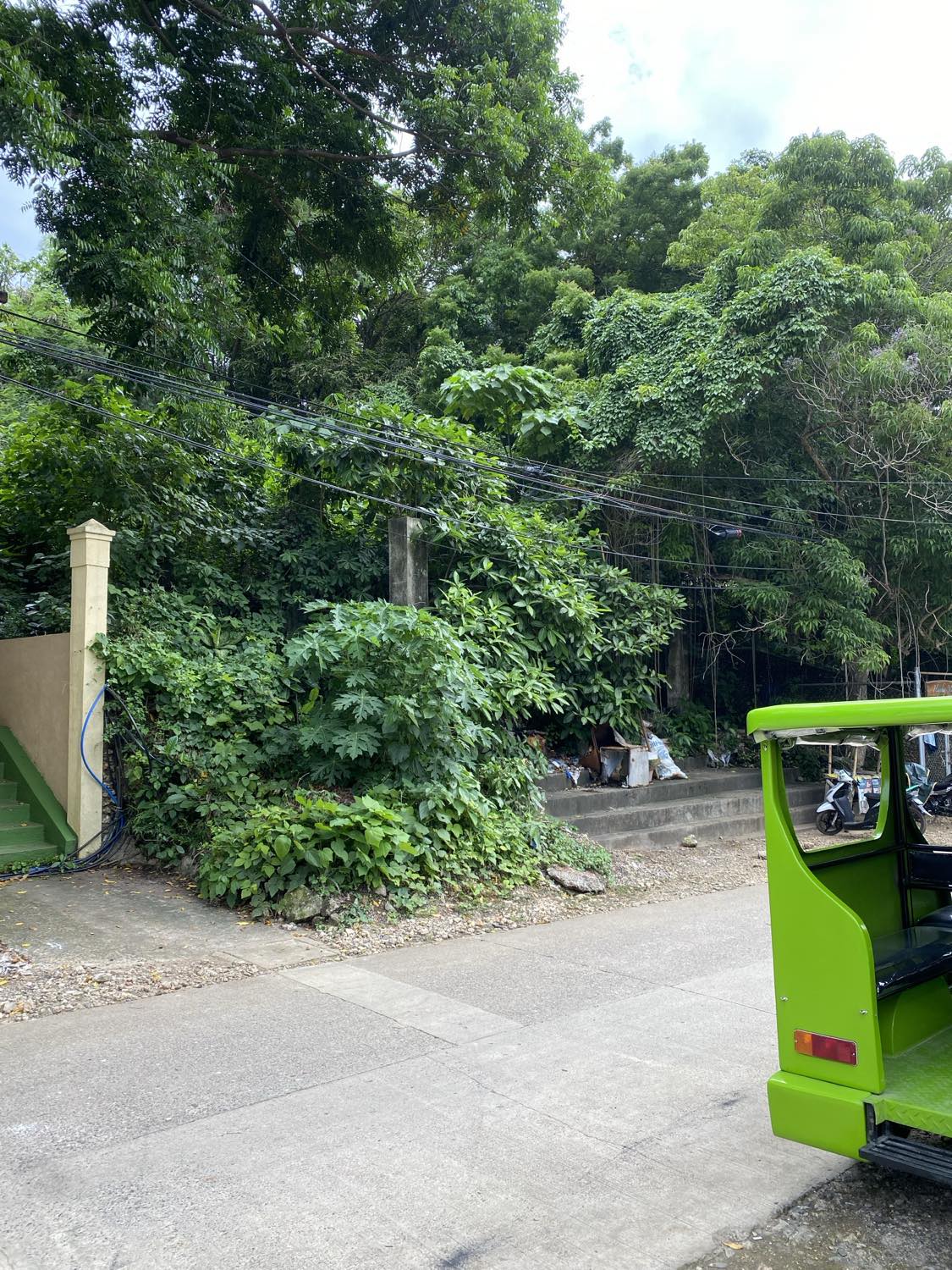 Lot/Land For Sale In Diniwid image 1