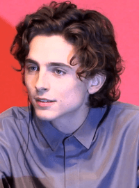 Timothée Chalamet