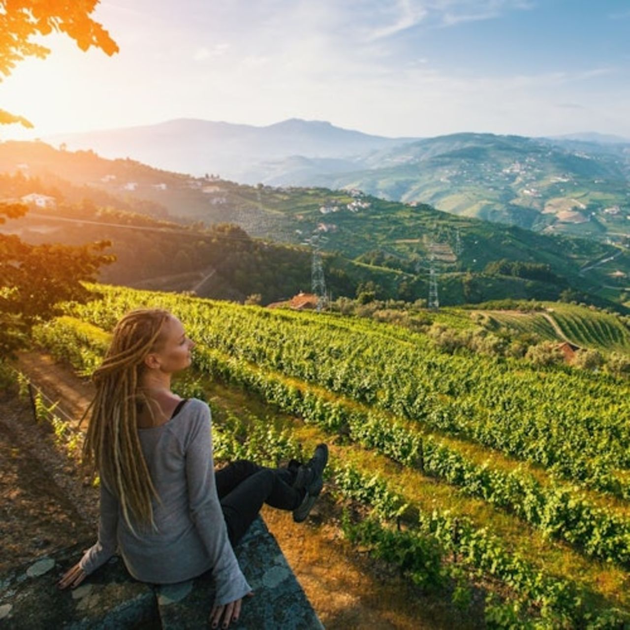 Valle del Douro: Tour in barca + colazione e pranzo da Porto — 6