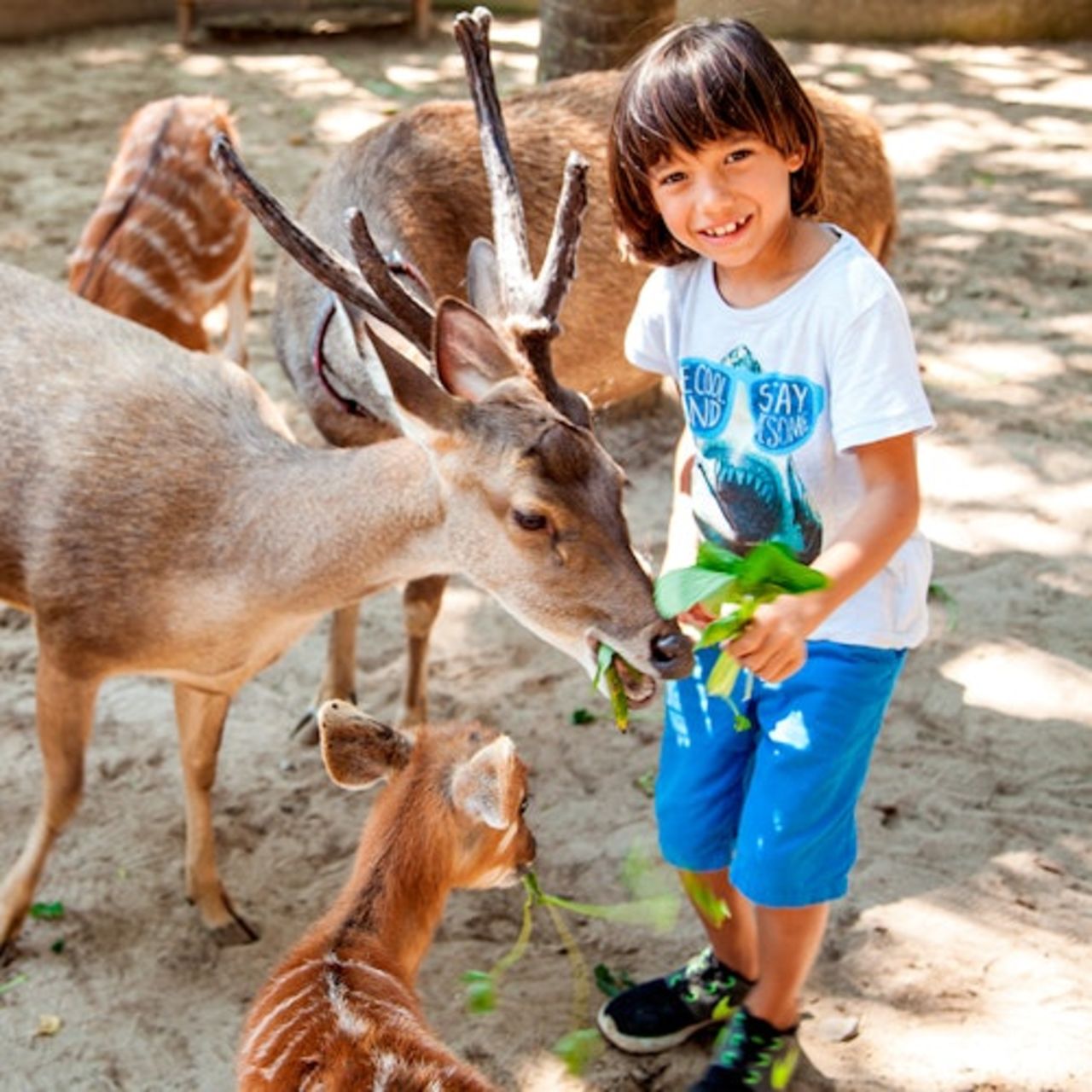 Zoo di Bali: Biglietto d'ingresso — 5