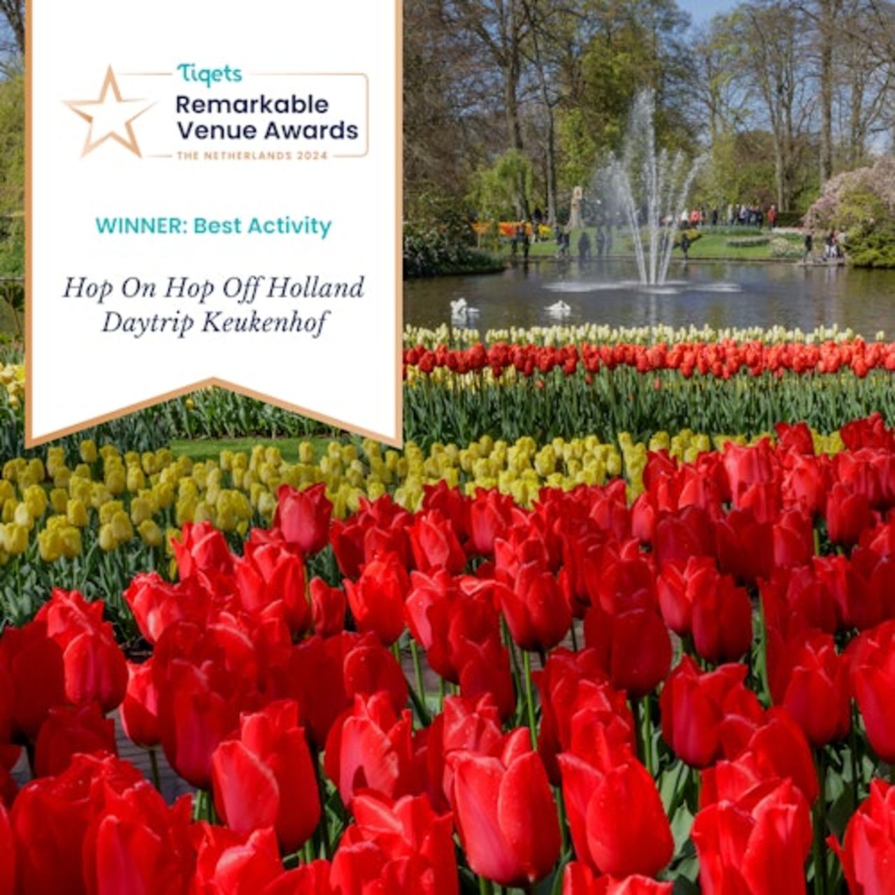 Keukenhof: Gita di un giorno + tour in barca dei mulini a vento — 2