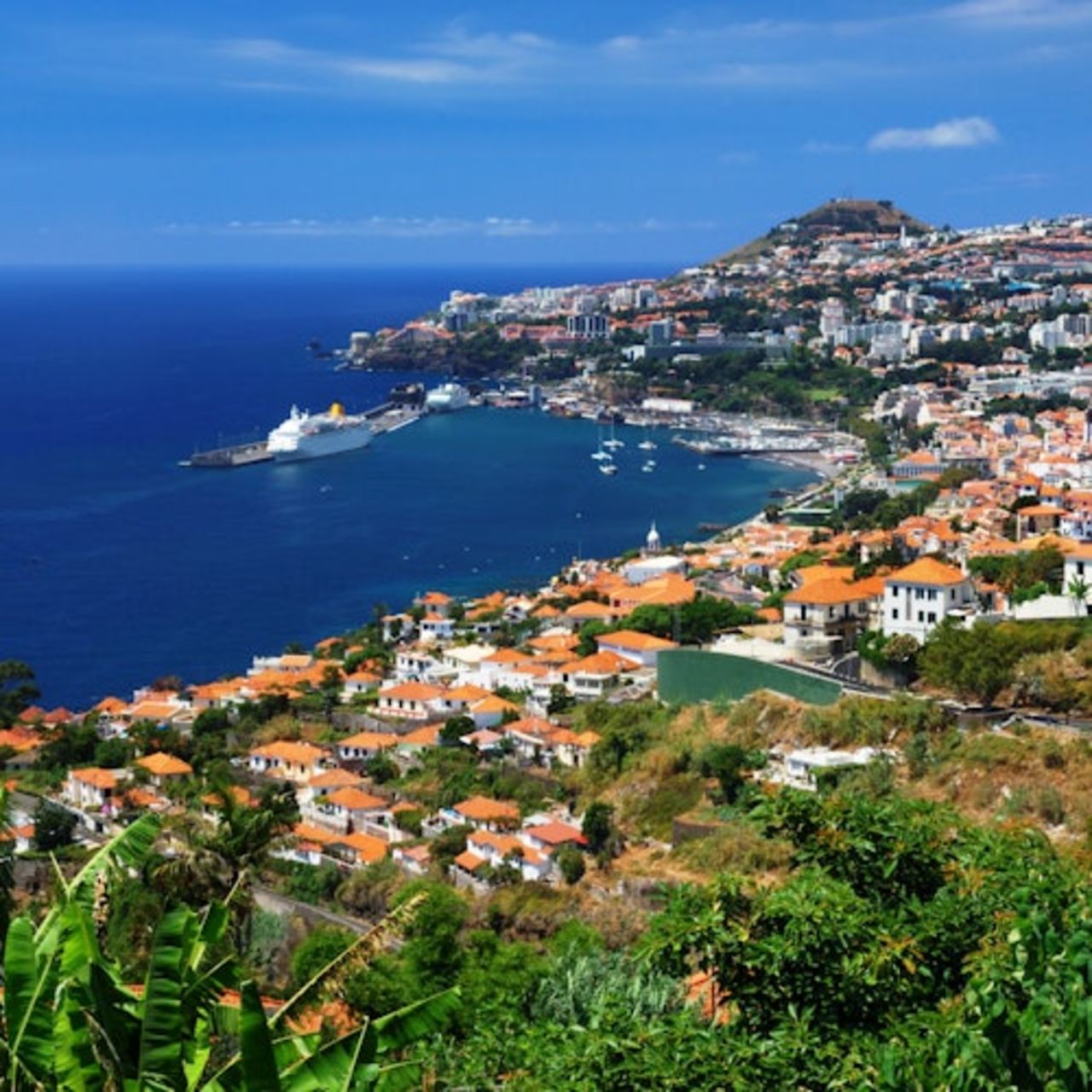 Bus Hop-on Hop-off Funchal — 2