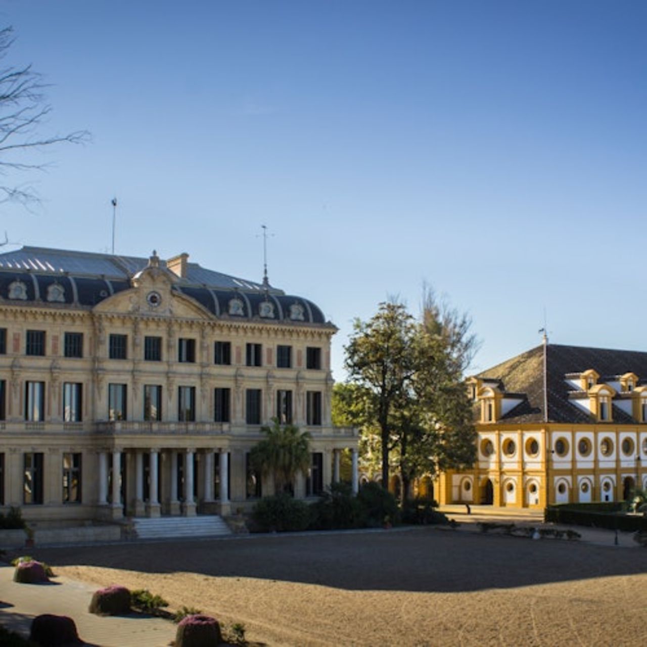 Scuola Reale Andalusa di Arte Equestre: Visita completa + Upgrade VIP opzionale — 5
