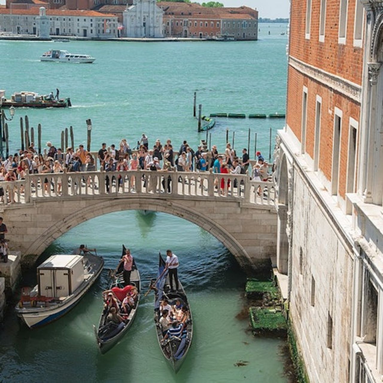 Venezia Pass — 5