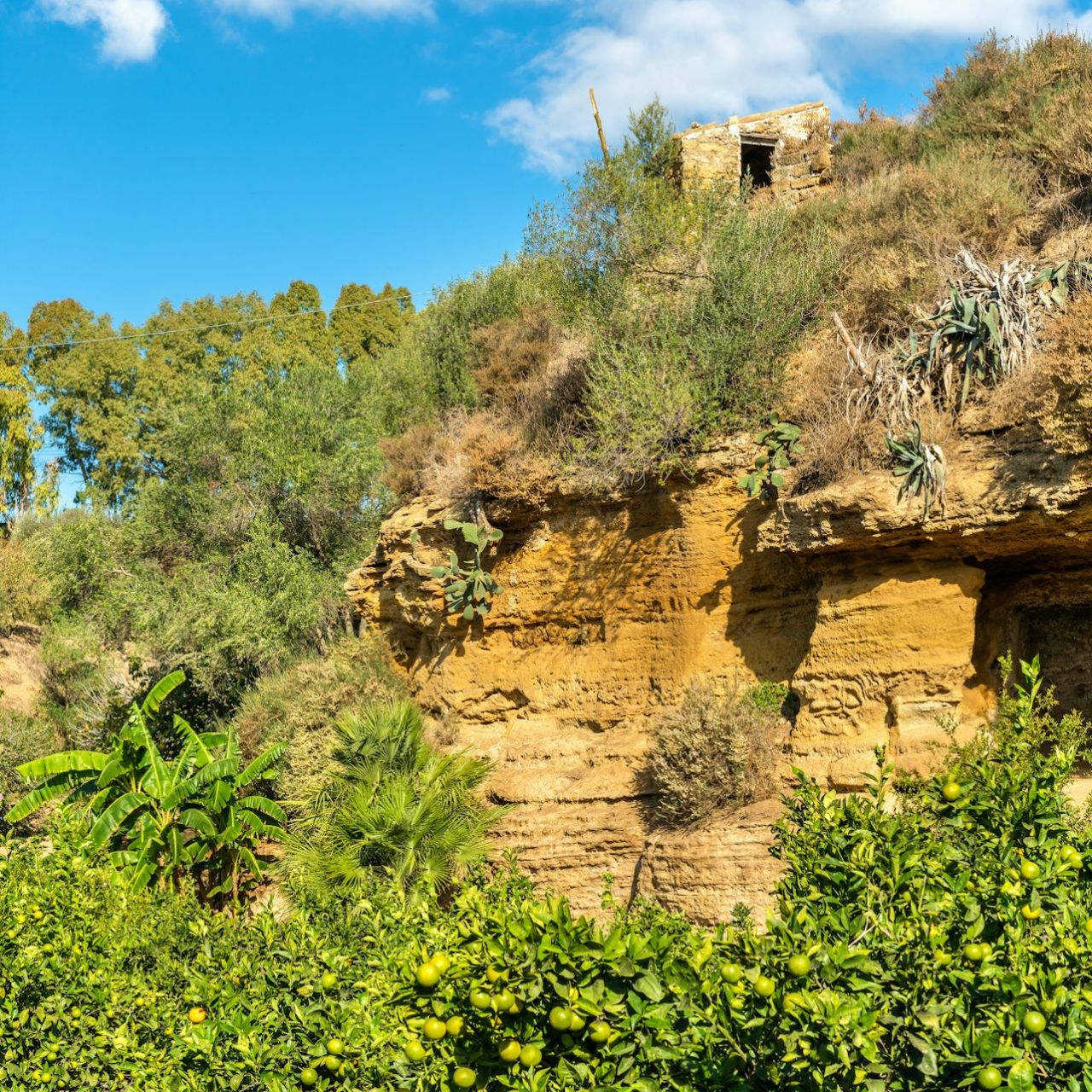 Valle dei Templi e Giardino della Kolymbethra: Biglietto d'ingresso — 7