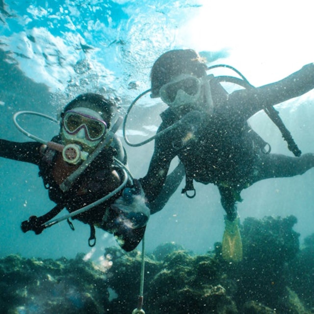 Hurghada: Immersioni subacquee guidate + Trasferimenti + Pranzo — 7