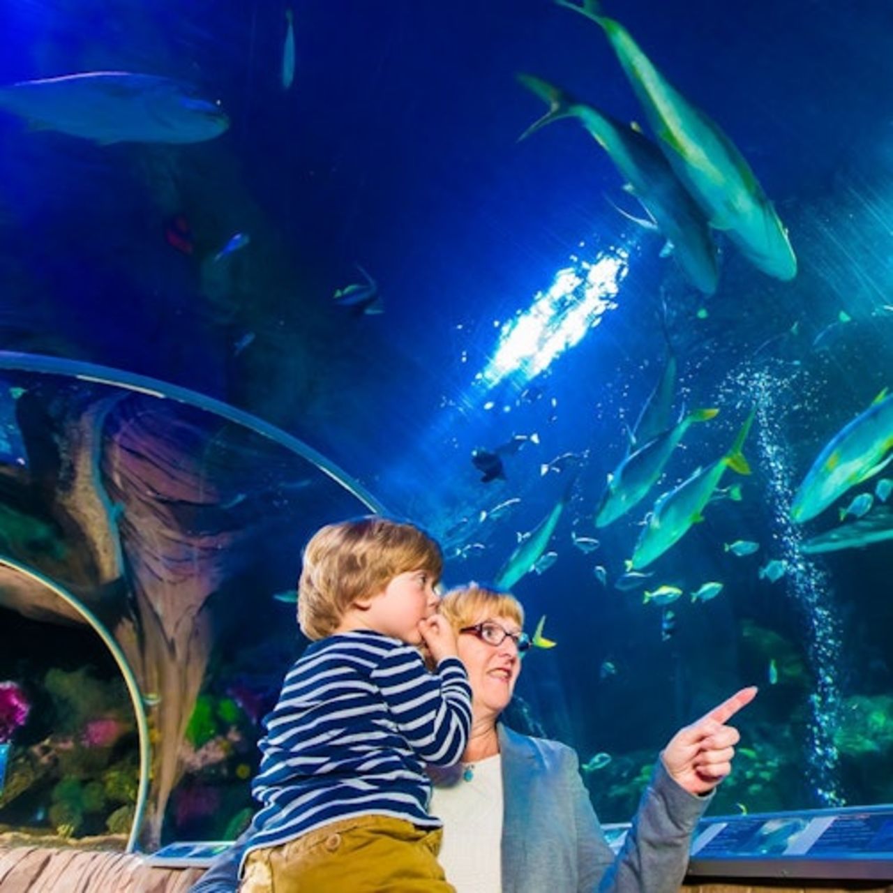 SEA LIFE di Monaco di Baviera: Biglietto d'ingresso — 4