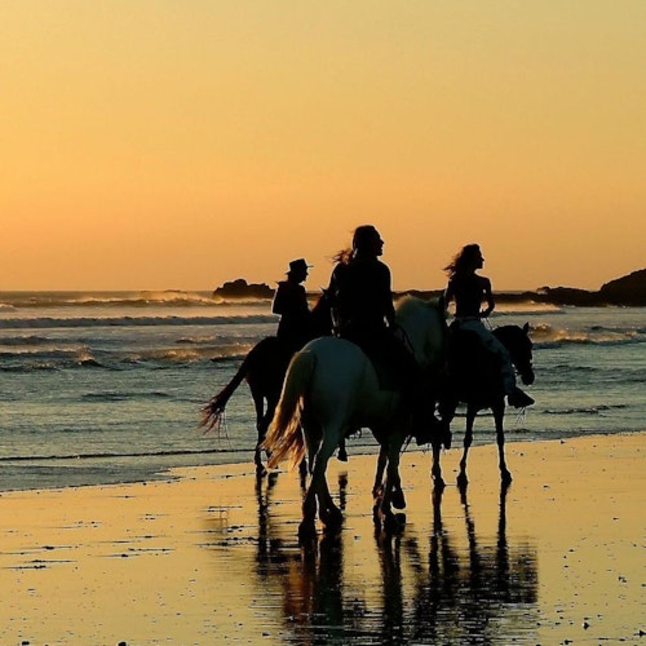 Tour a cavallo: Mare e deserto con trasferimento - Hurghada — 4