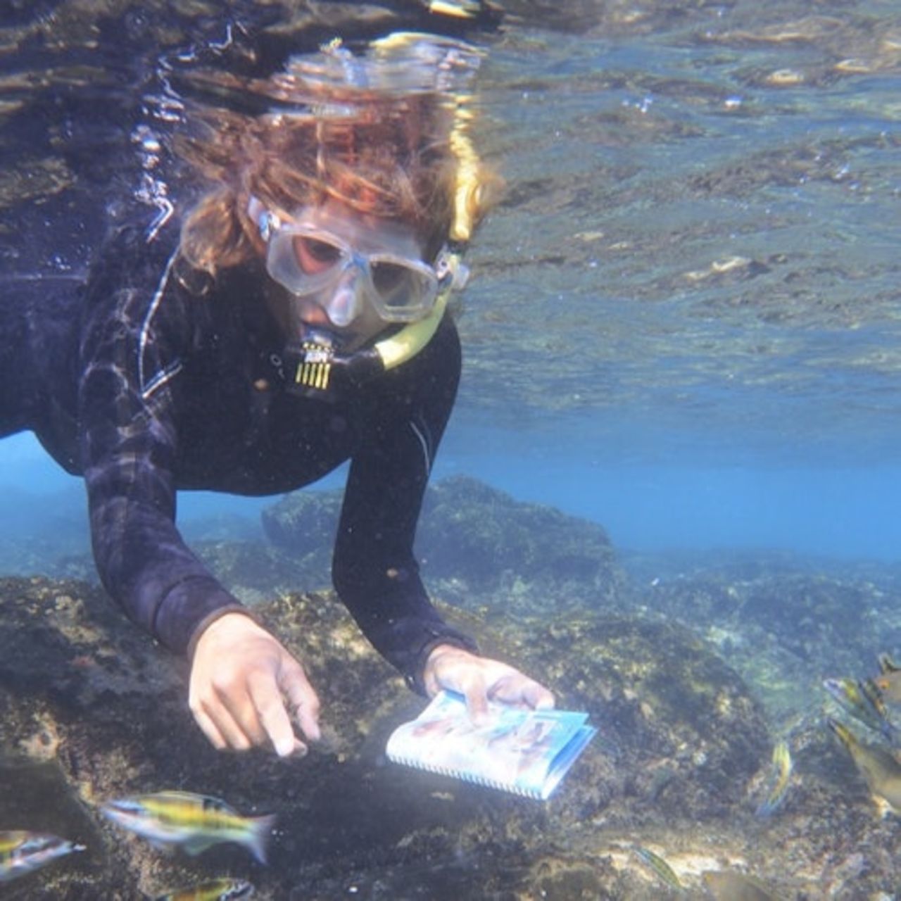 Playa Blanca: Esperienza guidata di snorkeling + trasferimenti — 3