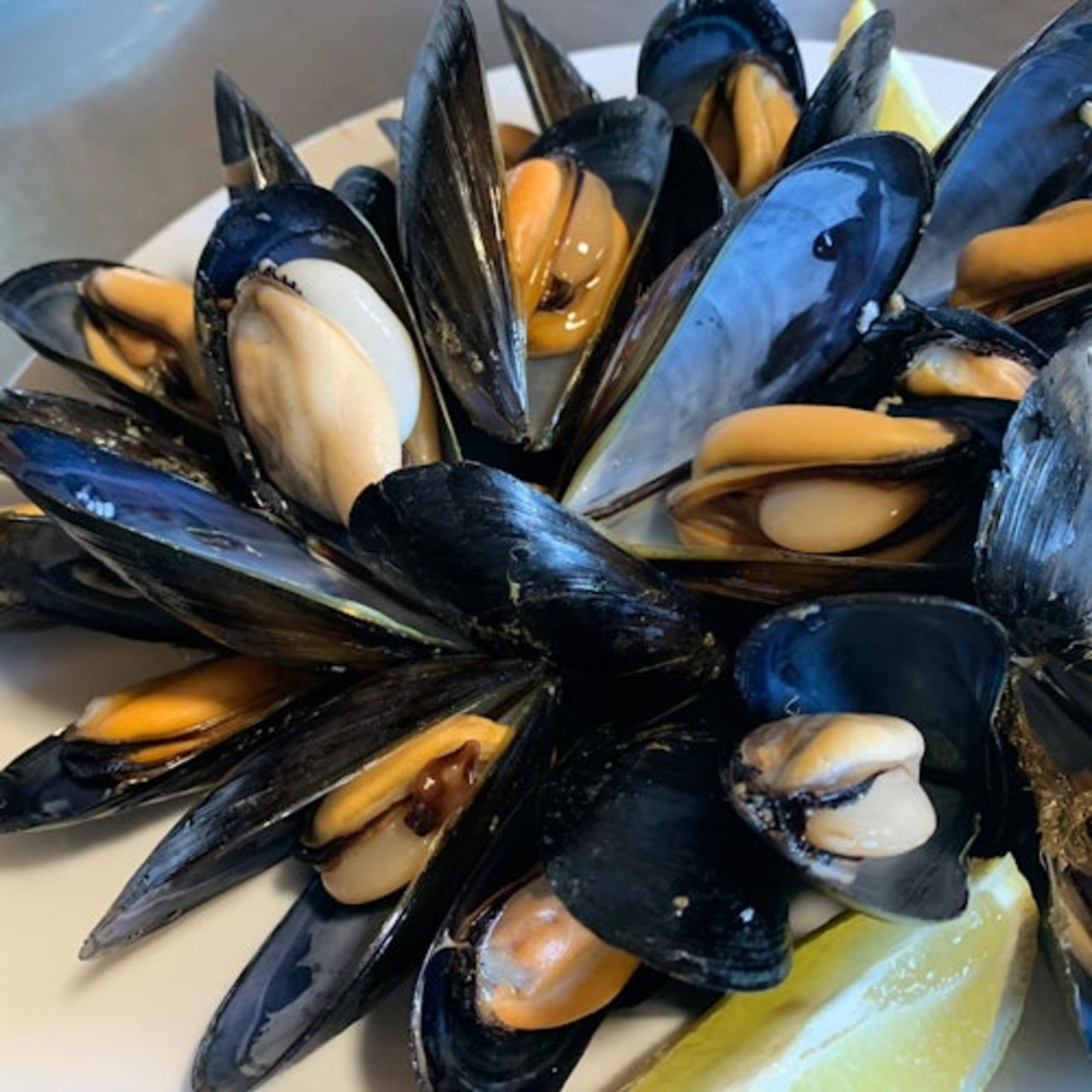 Musclarium: Itinerario nell'Allevamento di Cozze — 3