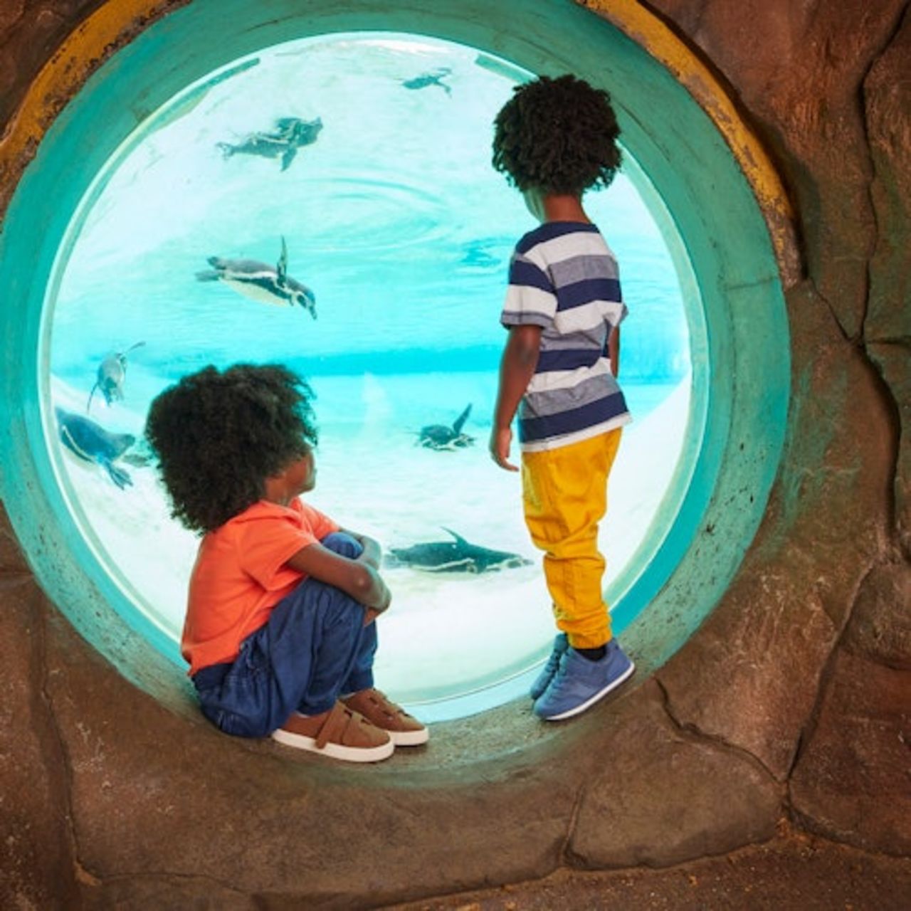 Zoo di Londra: Biglietto d'ingresso — 7