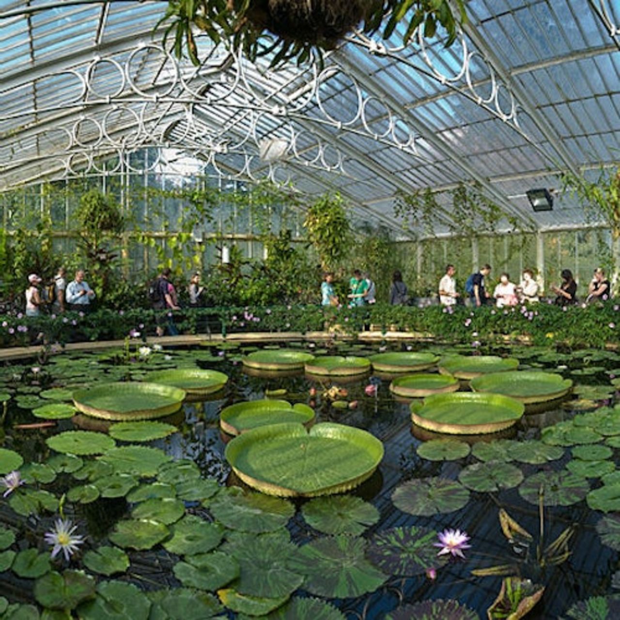 Kew Gardens: Biglietto d'ingresso — 2