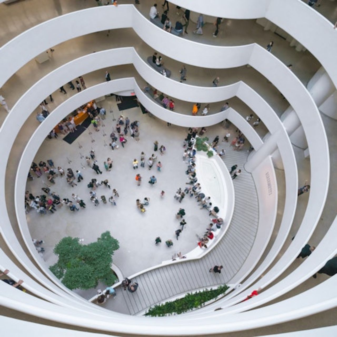 Museo Guggenheim di New York: Biglietto d'ingresso